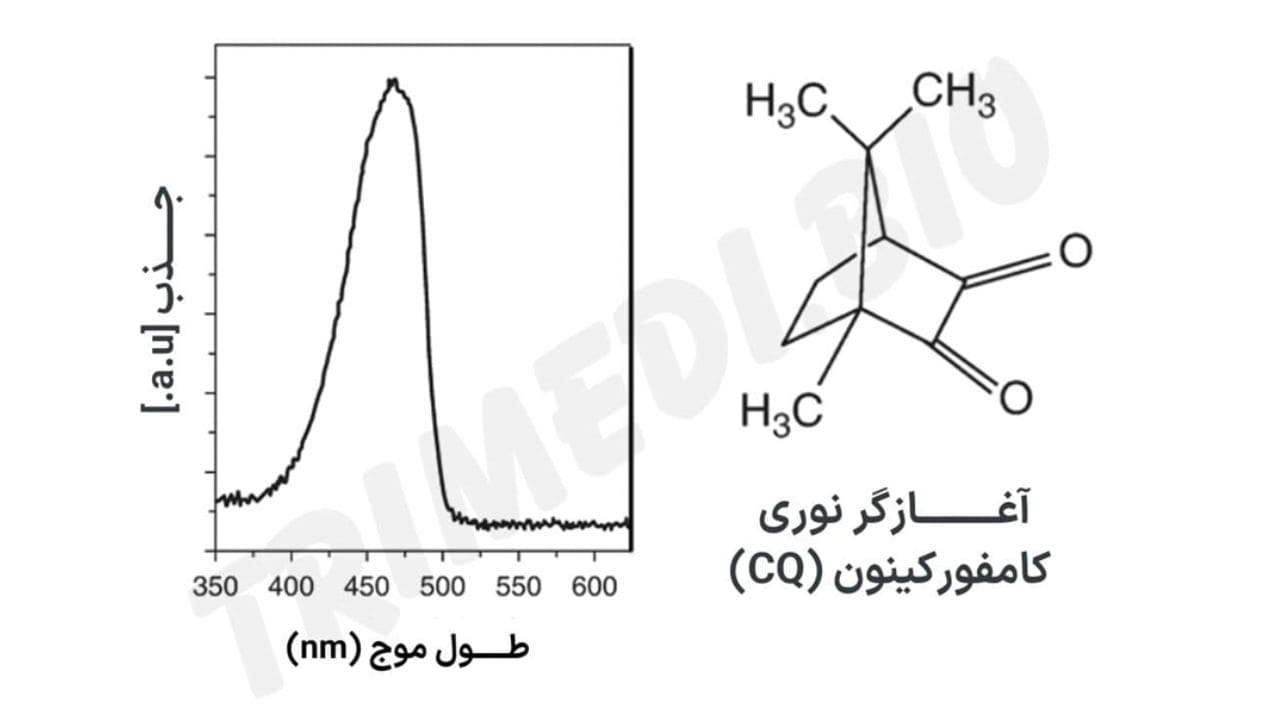 آغازگر نوری کامفورکینون (CQ) در محدوده نور آبی نور مرئی، جذب می‌کند